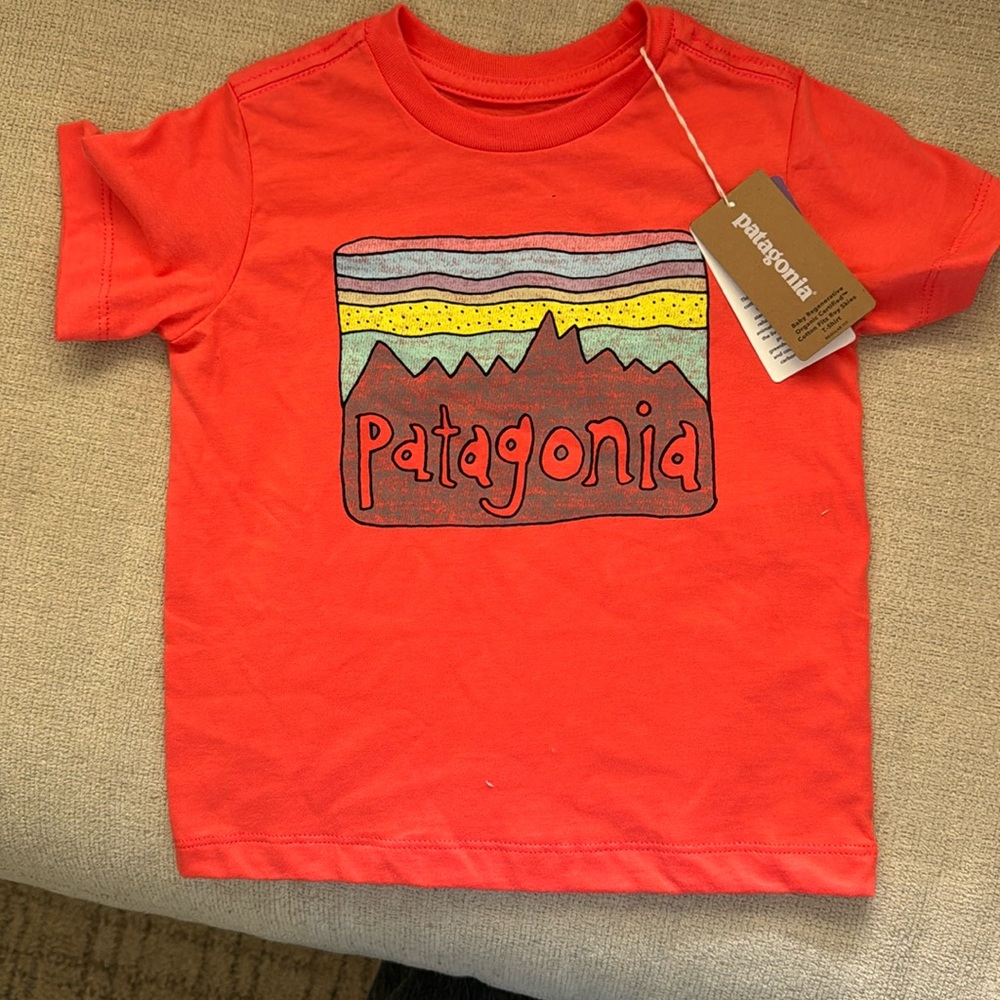 Baby Patagonia Tshirt